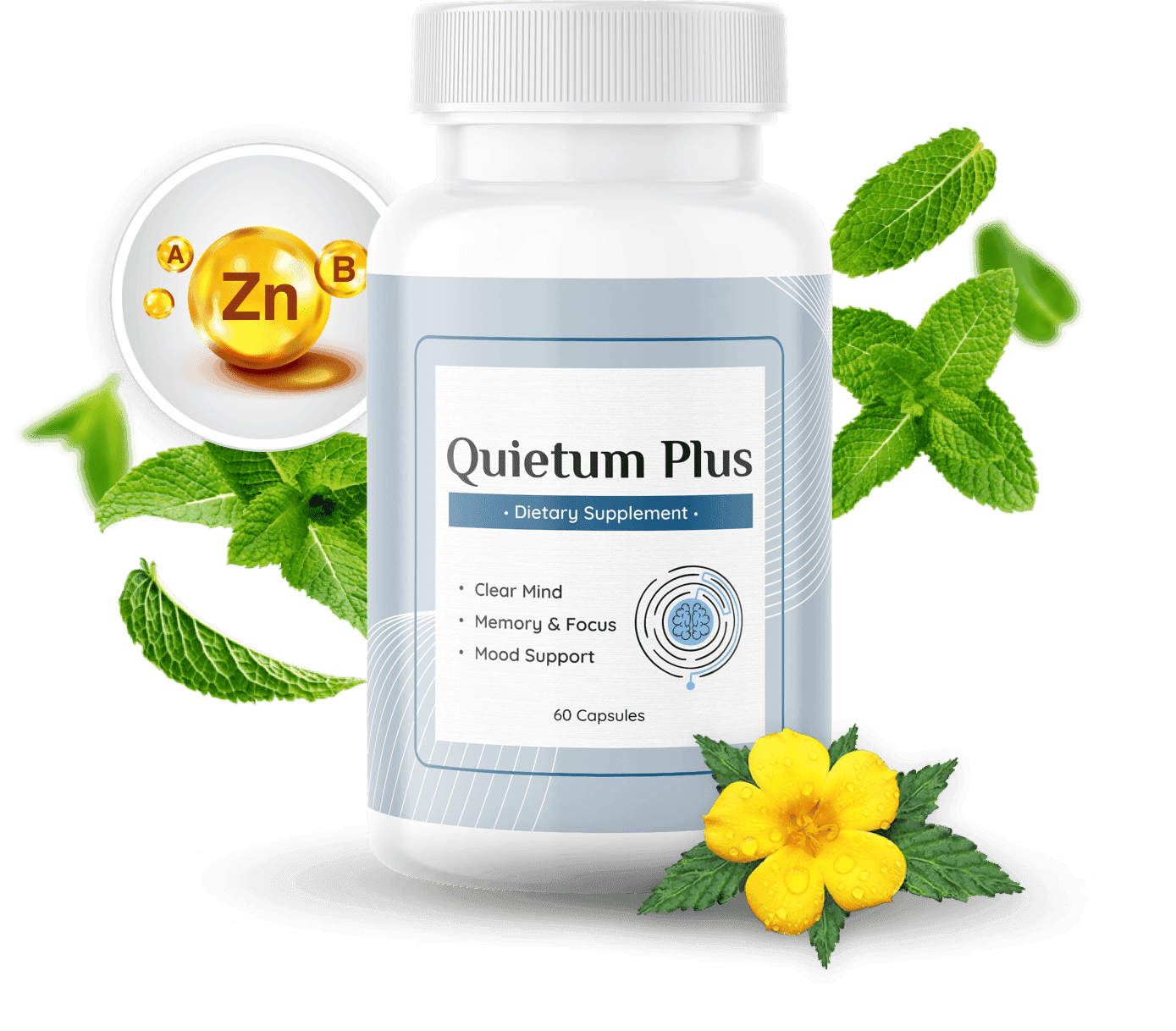 Bottle of Quietum Plus dietary supplement with mint leaves, yellow flowers, and a zinc symbol.